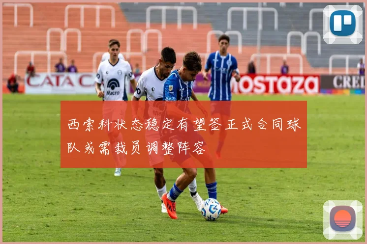 西索科状态稳定有望签正式合同球队或需裁员调整阵容