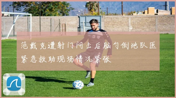 范戴克遭射门闷击后脑勺倒地队医紧急救助现场情况紧张