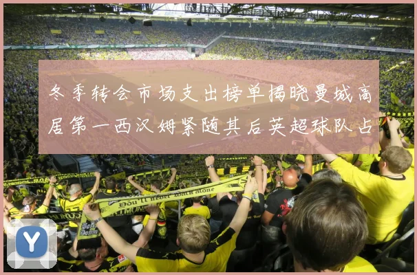 冬季转会市场支出榜单揭晓曼城高居第一西汉姆紧随其后英超球队占据五席
