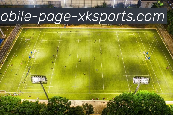 星空体育APP 高清赛事图